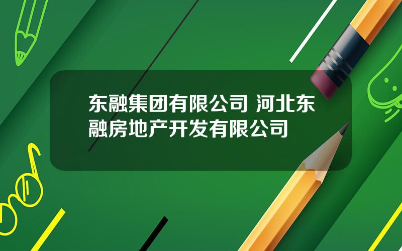 东融集团有限公司 河北东融房地产开发有限公司